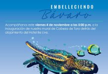 CEPM INAUGURARÁ UN NUEVO MURAL ECOLOGICO EN LA COMUNIDAD DE CABEZA DE TORO ESTE PROXIMO VIERNES 4 DE NOVIEMBRE