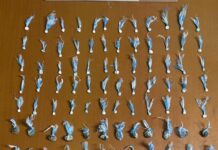 MINISTERIO PÚBLICO Y DNCD DESMANTELAN PUNTOS DE DROGAS EN VARIOS SECTORES DE VERÓN P.C.