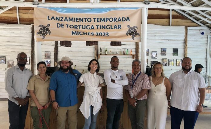 WhatsApp-Image-2023-03-03-at-8.02.16-PM-tortugas