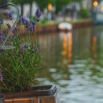 LOS 50 AÑOS DESPUES DE LA DECLARACIÓN DE ESTOCOLMO Y SU IMPLEMENTACION A LO LARGO DEL TIEMPO EN EL MEDIO AMBIENTE.