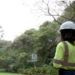 CEMEX Dominicana recibe Certificación Silver del WHC por su proyecto de conservación en Laguna de los Cangrejos