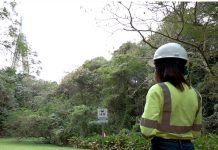 CEMEX Dominicana recibe Certificación Silver del WHC por su proyecto de conservación en Laguna de los Cangrejos