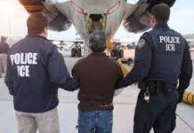 Luis Abinader, La republica dominicana no aceptara inmigrantes de otros paises deportados de estados unidos .