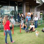 La electrolinera Evergo Connect celebra el primer evento exclusivo para mascotas
