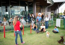 La electrolinera Evergo Connect celebra el primer evento exclusivo para mascotas