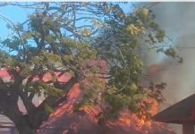SE INCENDIA RECONOCIDO ESTABLECIMIENTO COMERCIAL EN LAS INMEDIACIONES DE EL CRUCE DOMINGO MAIZ EN VERON LA CANITA.